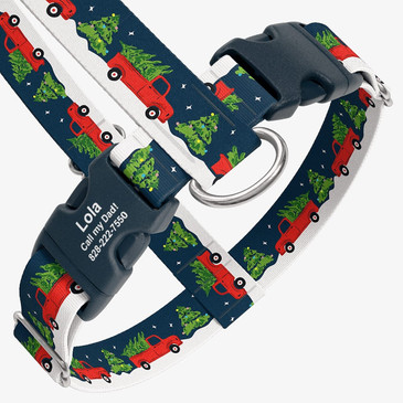 closeup view of harness with personalized buckle